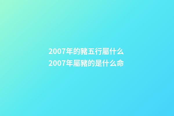 2007年的豬五行屬什么 2007年屬豬的是什么命-第1張-觀點-玄機派